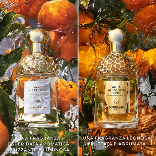 Guerlain Aqua Allegoria Mandarine Basilic Forte Eau De Parfum